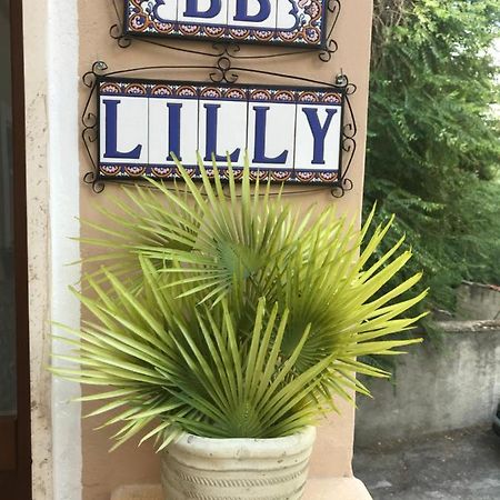 مبيت وإفطار سولمونا Lilly المظهر الخارجي الصورة